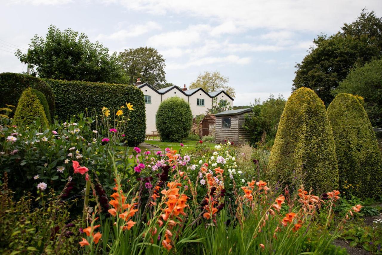 Woodcutter'S Cottage Dorchester Bagian luar foto